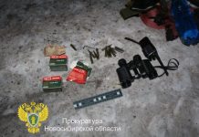 Двое жителей осуждены в Новосибирской области за незаконную охоту на косулю