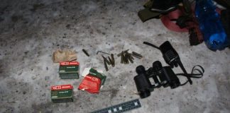 Двое жителей осуждены в Новосибирской области за незаконную охоту на косулю