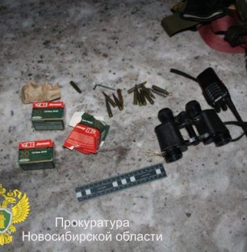 Двое жителей осуждены в Новосибирской области за незаконную охоту на косулю