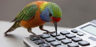 ТЕМА ГОДА: УЩЕРБ ПРИРОДЫ. Сидение на калькуляторе опробовали как метод расчета