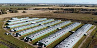 Кузница кадров «Сибагро»: Почему здесь комфортно начинать карьеру?