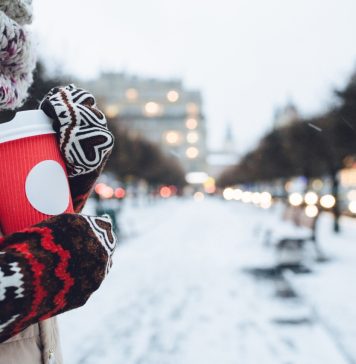 В парках Новосибирска из-за морозов изменится режим работы