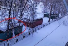 Падение очередной крыши: в детсаду под Новосибирском рухнула беседка