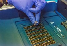 Новосибирский биолог назвал оптимальный срок для сдачи генетических тестов будущими родителями