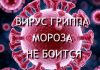 Новосибирцев предупредили, что мороз не убивает грипп