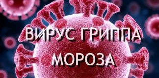 Новосибирцев предупредили, что мороз не убивает грипп
