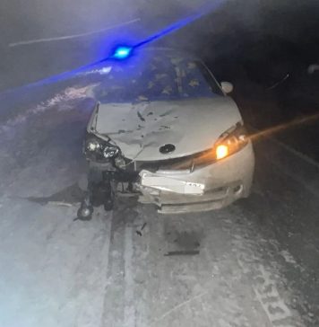 Пешеход погиб на трассе в Новосибирской области под колесами «Тойоты»
