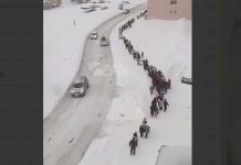 Учеников школы № 216 эвакуировали в Новосибирске