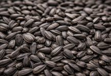 Детям водителя, насмерть засыпанного семечками в новосибирском селе, выплатили три миллиона