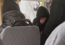 В Новосибирске ударившего ребёнка маршрутчика отстранили от работы