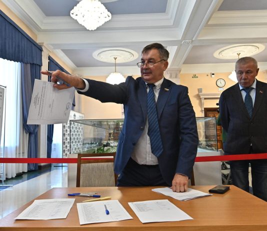 Новосибирская чиновница сравнила наказы избирателей с «детскими хотелками»