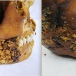 Новосибирские ученые нашли у 2500-летней мумии признаки древней челюстно-лицевой хирургии