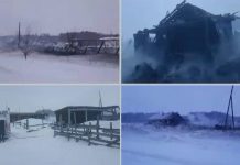 Более 100 телят сгорели при пожаре на ферме в Новосибирской области