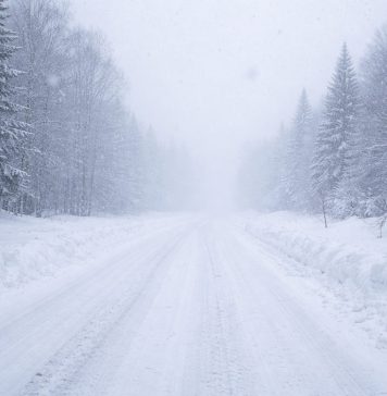 Спасатели на снегоходе доставили медиков к больному ребёнку в Новосибирской области