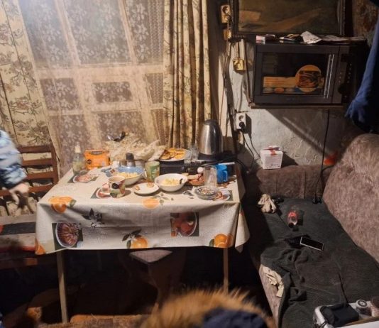 Подозреваемого в убийстве мачехи новосибирца задержали в Октябрьском районе