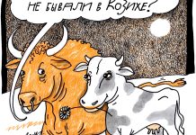 К вопросу о новосибирской эпизоотии: Корову жаль не меньше кошки