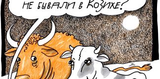 К вопросу о новосибирской эпизоотии: Корову жаль не меньше кошки