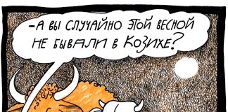 К вопросу о новосибирской эпизоотии: Корову жаль не меньше кошки