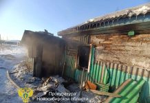 Названа возможная причина пожара с тремя погибшими в Каргате Новосибирской области