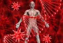 Новосибирский эксперт рассказала о симптомах пастереллеза у человека