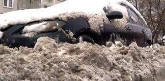 Время собирать «подснежники»: Новосибирские власти обещают массовую эвакуацию брошенных автомобилей