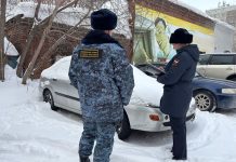 Угроза изъятия автомобиля заставила новосибирца выплатить долг детям