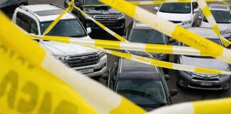 «Своим вез»: Крупный новосибирский автотрейдер попал на многомиллионное доначисление по утильсбору
