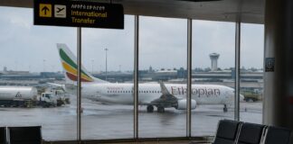 Новосибирский авиатехник умер во время пересадки в Эфиопии