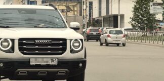 Ущерб за упавшее на Haval Dargo дерево оказалось некому гасить