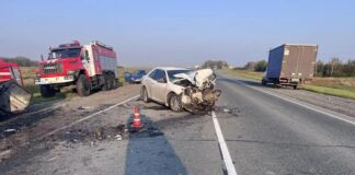 «Заснул за рулем»: в Новосибирской области два человека погибли в ДТП
