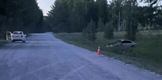 В ДТП с пьяным водителем под Новосибирском погибла пассажирка